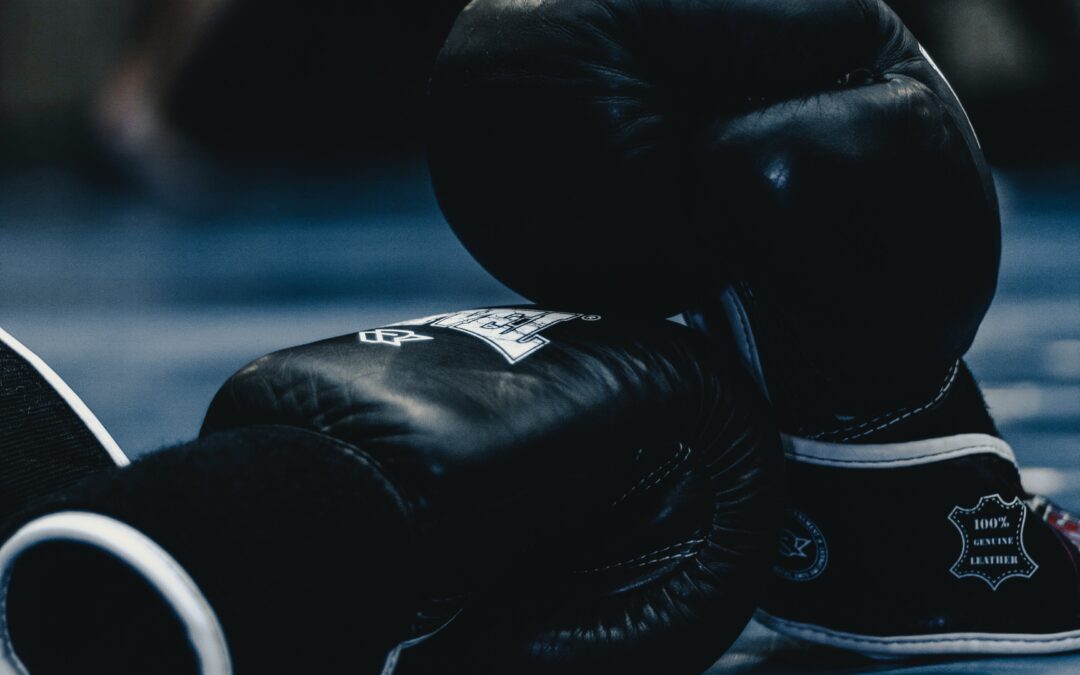 Unleash the Giant Inside with RDX Boxing Gear from ZooZilo