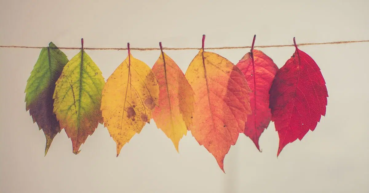 Embracing Fall’s Call to Adventure!